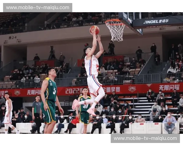 回放NBL——把每一刻热血再次点燃